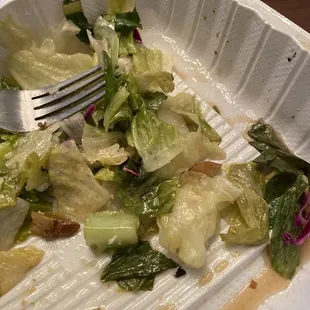 Soggy, limp, inedible salad