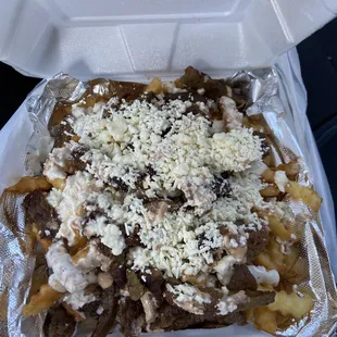 GYRO FRIES THIS IS BUSSINNNN