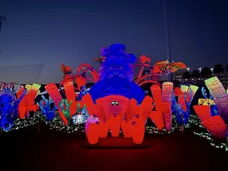 Stockton Lantern Festival Magic Forest