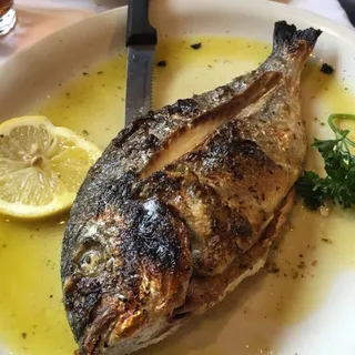 Fresh Greek Sea Bass