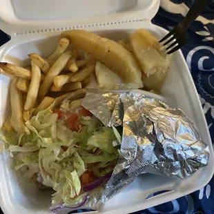 a sandwich and french fries in a styrofoam container