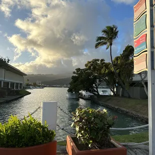 View from outdoor seating