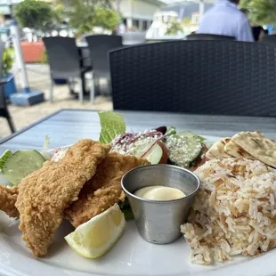 Calamari (Kalamari) steak