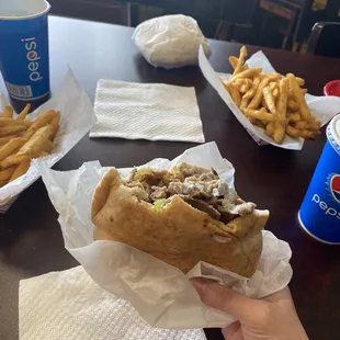 Gyro Sandwich and fries