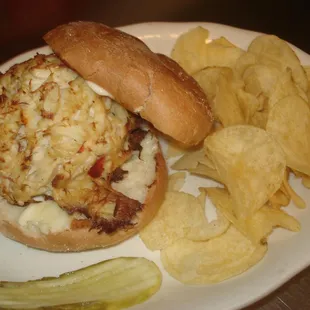 food, sandwich, sandwiches