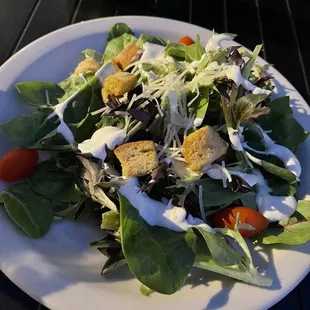 Side salad w/ steak