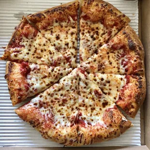 Medium cheese pizza