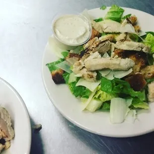 Grilled Chicken Caesar Salad