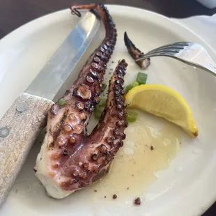 Grilled octopus
