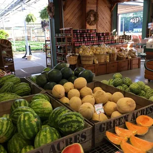 a variety of watermelons and melons