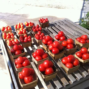 Basket of Roma tomatoes are $3 and regular tomatoes are $4. Can we say fresh salsa and sauce!!!