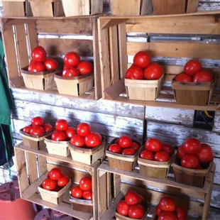 Tomatoes $4 a basket! They actually taste like tomatoes unlike the big supermarkets.