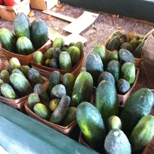 Fresh pickles...grab some of the fresh dill here and your jarring!!!