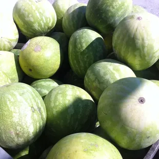 The watermelon are so delicious and only $4 each.