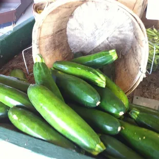 Freshly picked zucchini! I'm throwing these on the grill in a few hours.