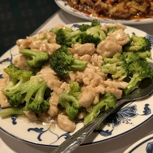 Tasty chicken with broccoli (lots of sesame oil, yum!)
