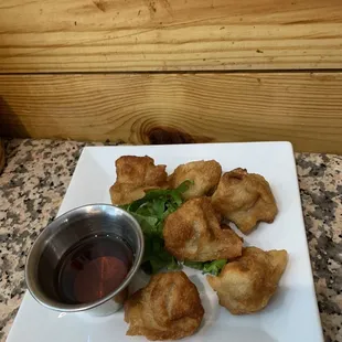 Crispy Dumplings