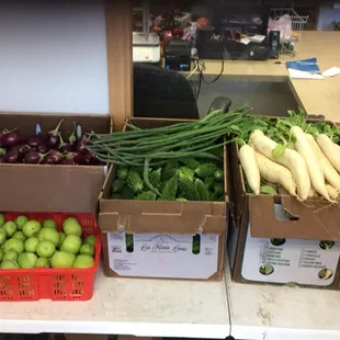 Produce