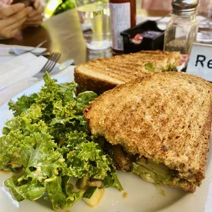 Avo-campania panini