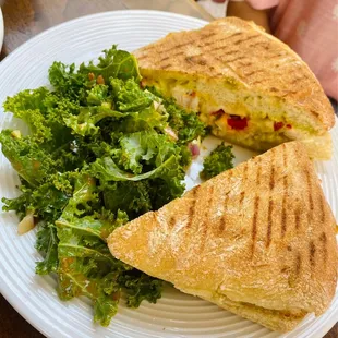 Chicken pesto panini