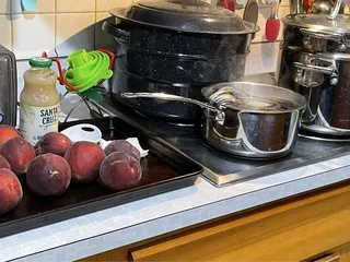 The Jam & Jelly Lady