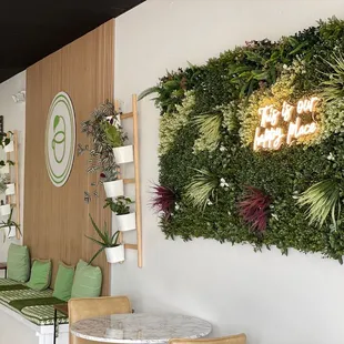 Cute clean tranquil environment