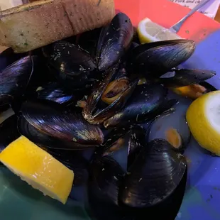 Mussels