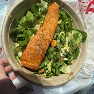 Salmon salad - very good.