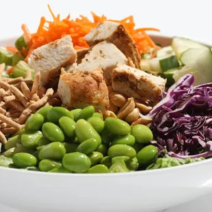 a bowl of salad with chicken, lettuce, carrots, cucumbers,