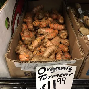 Green Earth just started carrying fresh turmeric- great!
