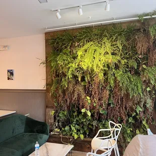 Love the live plant wall and the comfy couch beside it