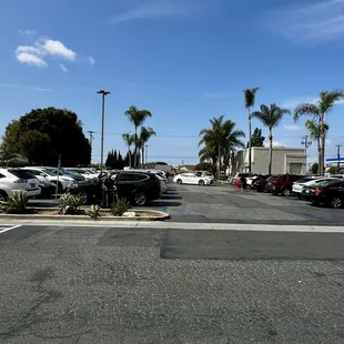 Parking lot on weekend morning