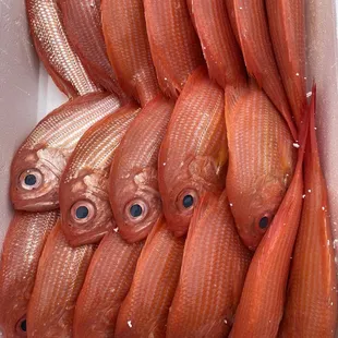 a box of red fish