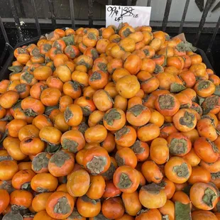 Good deal on persimmons
