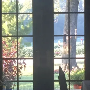 We bring the outside in.