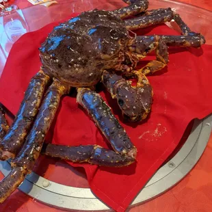10.5lb King Crab!