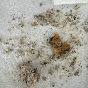 GF cookies and creame scone that I ate