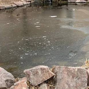 Behind the bldg is this great little water fall, and to the right us a mapped garden