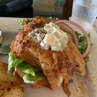 Was supposed to be blackened grouper ?