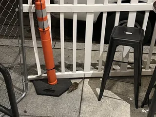 JR's Bar & Grill
