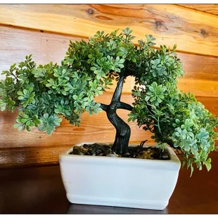 Ready to devour Lunch. #eatgreenleaves #govegan