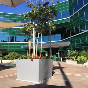 It's in the lower courtyard of this very green office building.