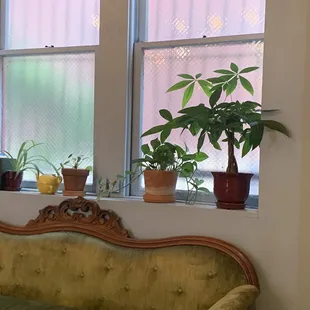 couch in the back room