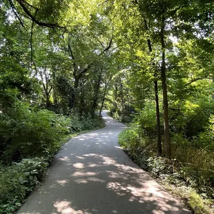 A Section of the Wooded, Creekside Bike/Hike Trail