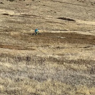 Lots of mountain bikers on the trails