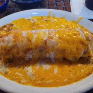 Shredded Beef Burrito