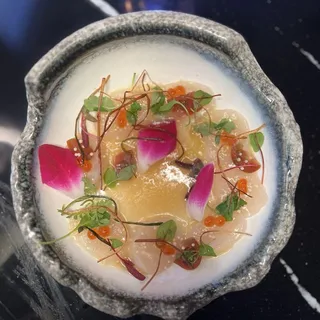 Scallop