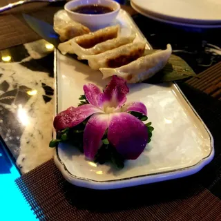Gyoza