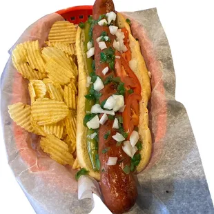 Foot Long Chicago Dog