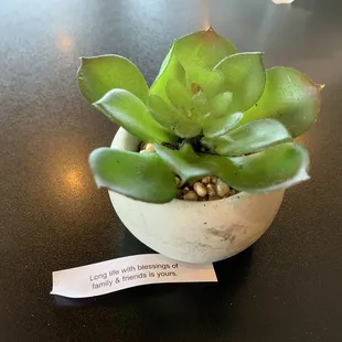 Great food, atmosphere, and service. Long life with blessings of family and friends is yours.